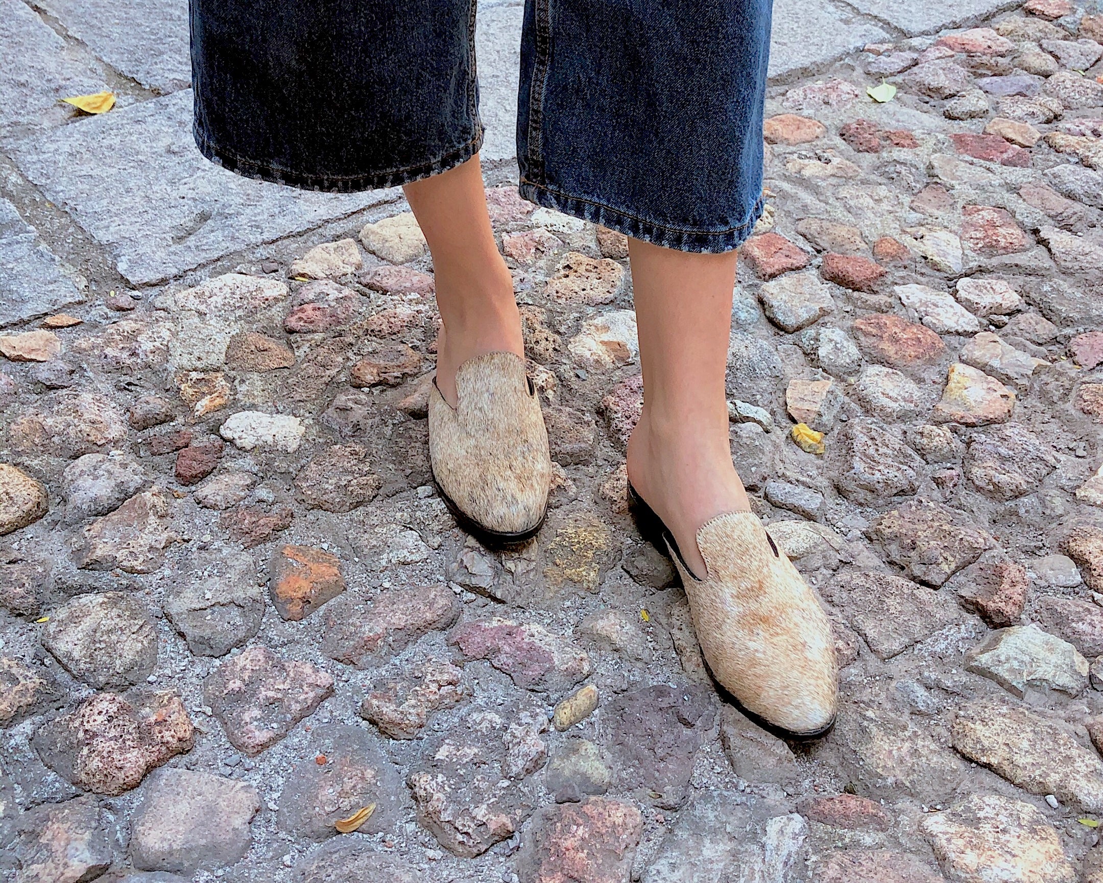 Polankito Mule's